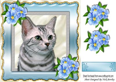 Cute Kitten with Flowers in Ornate Frame 8x8