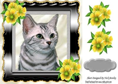 Cute Kitten with Yellow Flowers in Ornate Frame 8x8
