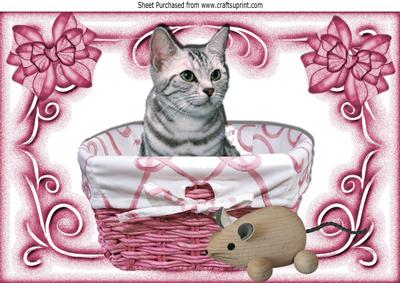Cute Kitty in the Basket with Toy Mouse & Bows A4