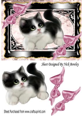 Gorgeous Little Black/white Kitty with Pink Bows