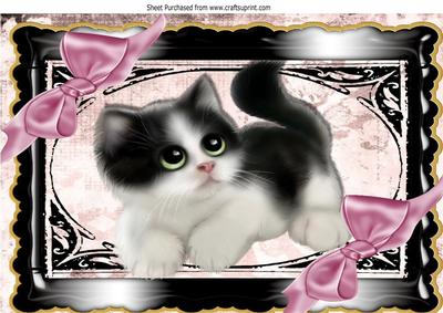 Gorgeous Little Black/white Kitty with Pink Bows A4