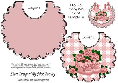 Pretty Pink Bootees with Pink Roses on a Bib