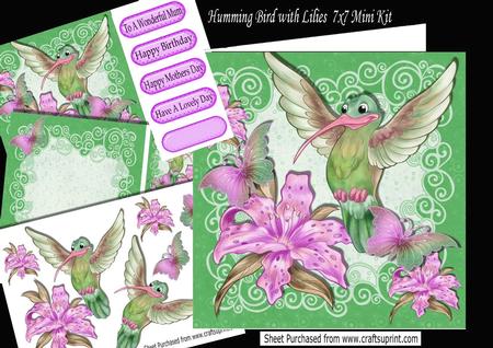 Humming Bird with Pink Butterflies and Lilies 7x7 Mini Kit