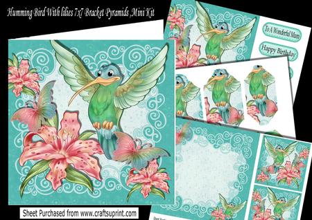 Humming Bird with Butterflies Bracket Pyramids 7x7 Mini Kit