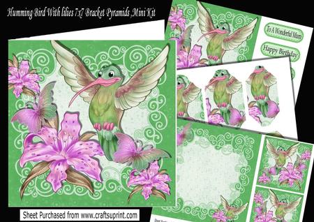 Humming Bird Pink Lilies Bracket Pyramids 7x7 Mini Kit