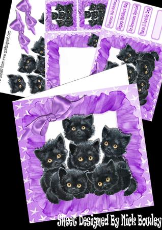 Cute Little Black Kittens in Frill Frame Wih Purple Bow Kit