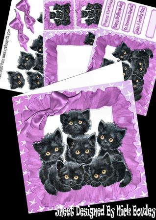 Cute Little Black Kittens in Frill Frame Wih Pink Bow Kit