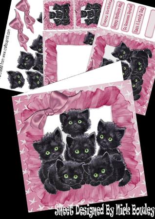 Cute Little Black Kittens in Frill Frame Wih Rose Bow Kit