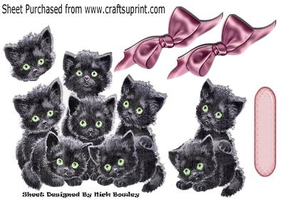 Cute Black Kittens with Rose Bows A4