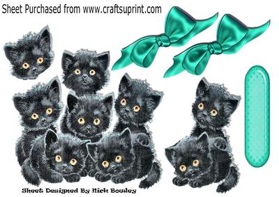 Cute Black Kittens with Turq Bows A4