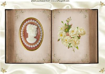 Beautiful Vintage Open Book with Cameo A4 Topper