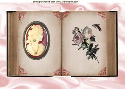 Beautiful Vintage Open Book with Cameo A4 Topper