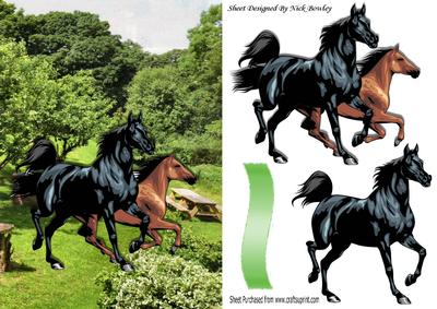 Beautiful Painted Horses in the Meadow