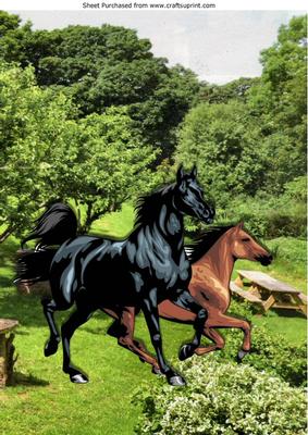 Beautiful Painted Horses in the Meadow A4