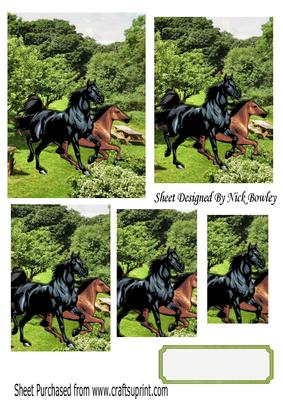 Beautiful Painted Horses in the Meadow Pyramids