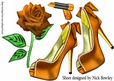 Pretty Orange and Pearl Shoes on Lace with Rose A4