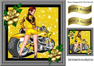 Biker Babe in Yellow Hot Pants Lowrider Bike 8x8