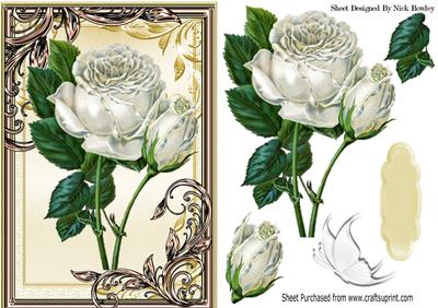 Pretty White Rose in Gold Ornate Frame with Butterfly