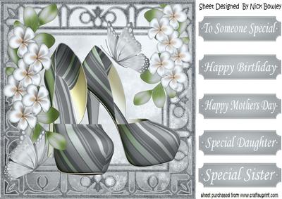 Pretty Silver Stripe Shoes with Flowers 8x8