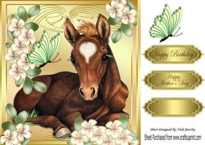 Pretty Foal Laying Down with Flowers& Butterflies 8x8