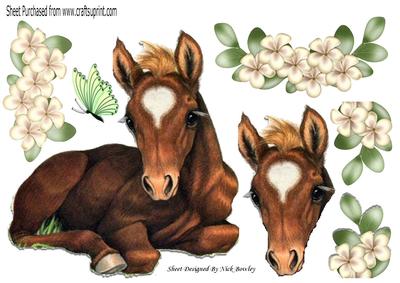 Pretty Foal Laying Down with Flowers & Butterflies A4