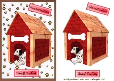 In the Dog House! Cute Little Puppy