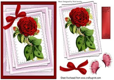 Pretty Red Roses in Lace with Butterflies A5