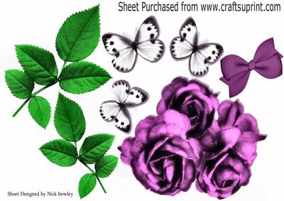 Pretty Pink Roses and White Butterflies Green Leaves A4