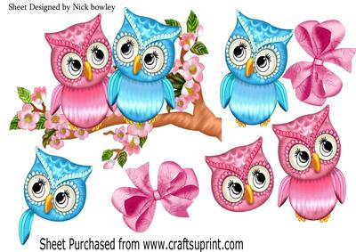 Cute Pink/blue Owls on a Branch with Blossoms A4