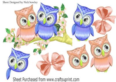 Cute Little Peach/blue Owls on a Branch with Blossoms A4