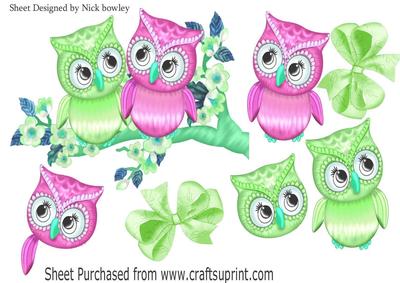 Cute Little Green & Pink Owls on a Branch with Blossoms A4