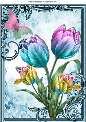 Pretty Painted Rainbow Tulips with Butterfly A4