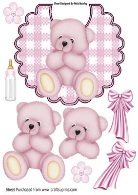 Cute Pink Teddy on a Gingham Bib with Bottle A4