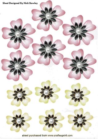 Pretty Pink and Yellow Flowers with Pearls Emb