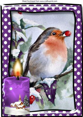 Lovely Robin with Purple Candle in the Snow A4