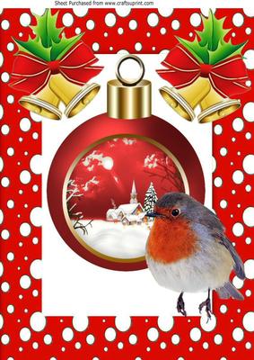Cute Robin with Christmas Bauble with Snow Scene A4