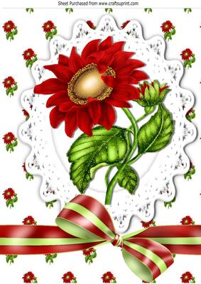 Pretty Red Sunflowers on Lace with Striped Bow A4