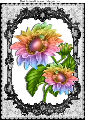 Pretty Rainbow Sunflowers in a Black Lace Frame A4