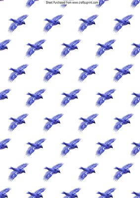 Pretty Blue Birds in Flight A4 Backing Paper