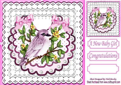 Pretty Pink Bird with Flowers on Lace Bib 8x8