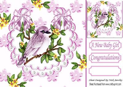 Pretty Pink Bird with Flowers on Lace Bib 8x8