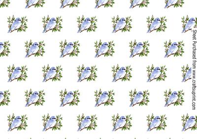 Pretty Bluebirds on a Branch of Flowers Backing Paper
