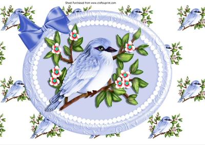 Pretty Bluebird on a Branch with Flowers in Pearl Frame A4