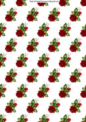 Beautiful Red Roses with Gypsophilia Backing Paper