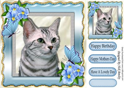 Grey Kitty with Flowers and Butterflies 8x8