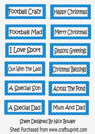 Lot of Lovely Sentiments Seasons & Sport Blue Polkadot Tags