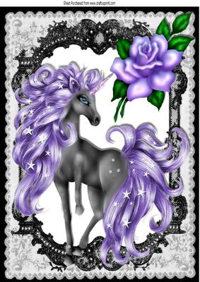 Black Lace with Purple Rose, & Fantasy Unicorn A4