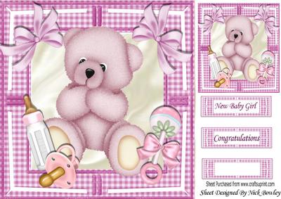 Pink Cuddly Baby Bear with Rattle and Bottle 8x8
