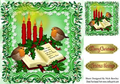 Lovely Bible with Holly and Robins 8x8