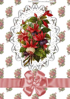 Pretty Fuschia in Lace Frame with Bow A4